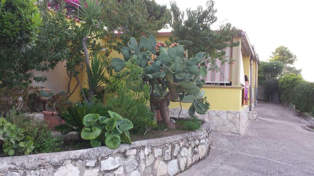 Villa Natura Sea View Vieste Luaran gambar